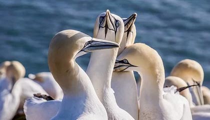 保山高价上海医保提取2025的最新政策(2025年保山上海医保怎么提取现金分享)