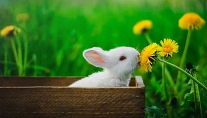 保山高价上海医保提取2025的最新政策(2025年保山上海医保怎么提取现金分享)